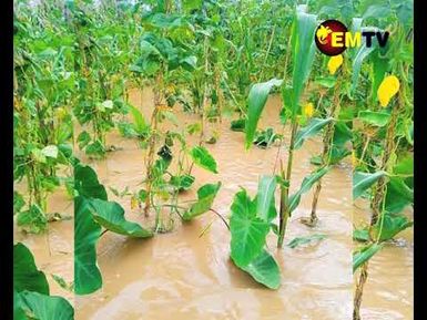 DISASTER AFFECTS FARMERS