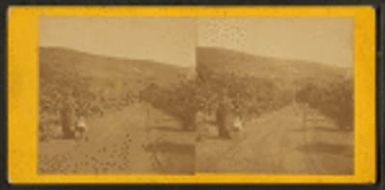 Hawaiian woman and a baby in carriage on road