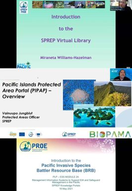 PLP-ESS Module 24: Management Information Systems to Support EIA&Safeguard Management Pacific