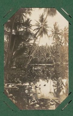 Lagoon, probably Naoero.  From the album: Banaba (Ocean Island)