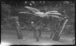 Drums with ancestral spirit image carvings