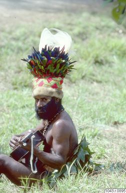 ["gitarr, porträtt, skägg, man, huvudbonad, fotografi, photograph"]