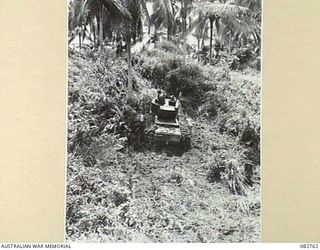 MADANG, NEW GUINEA. 1944-10. A CHURCHILL VII TANK HALFWAY UP COURSE NO. 3 IN ITS SECOND ATTEMPT DURING TESTS CONDUCTED AT HQ 4 ARMOURED BRIGADE