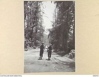 RABAUL, NEW BRITAIN, 1945-09-11. PRIVATE N. PULVER (1) AND SERGEANT D. BARTY (2), MEMBERS OF 37/52 INFANTRY BATTALION, WALKING DOWN CENTRAL AVENUE OF THE TOWNSHIP DURING THE EARLY STAGES OF THE ..