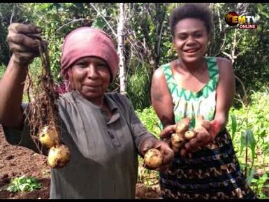 OKAPA NEEDS MARKET