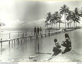 MENDAROPU, NEW GUINEA, 1942-11-11. THE NEW FOOTBRIDGE ACROSS THE RIVER NEAR THE VILLAGE WHICH WAS BUILT BY UNITED STATES ARMY ENGINEERS