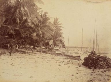 Inside lagoon Manihiki. From the album: Views in the Pacific Islands
