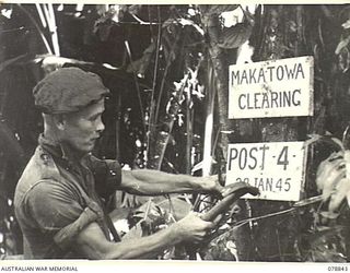 BOUGAINVILLE ISLAND. 1945-01-31. QX54832 STAFF SERGEANT D.R. HUGHES, "C" COMPANY, 9TH INFANTRY BATTALION ERECTING A SIGN ON A TREE AT MAKATOWA VILLAGE DURING HIS BATTALION ADVANCE ALONG THE ..