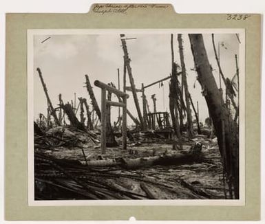 Photograph of the Remains of a Japanese Shinto Shrine