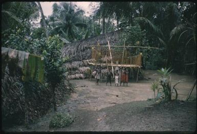 Houses (8) : Maprik, Papua New Guinea,1959 / Terence and Margaret Spencer