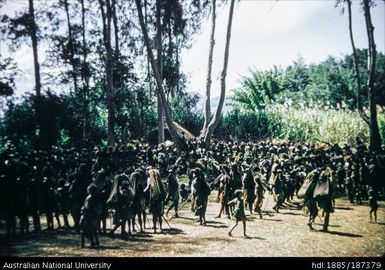 General view of dance
