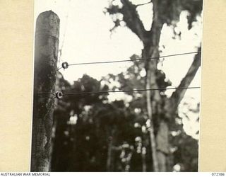 NEWTON'S DUMP - OWERS' CORNER, NEW GUINEA. 1944-04-12. A SECTION OF THE PORT MORESBY - INONDA CARRIER CIRCUIT LINE. THE LINE SHOWN IS A 200 POUND WIRE, WHICH REPLACES THE 70 POUND DOUBLE LINE ..