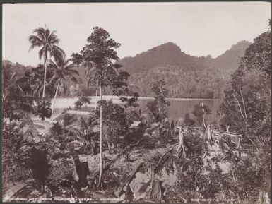 Pirihadi Bay viewed from Mindoru, Ysabel, Solomon Islands, 1906 / J.W. Beattie
