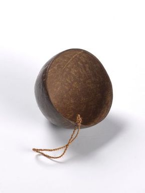 Coconut cup