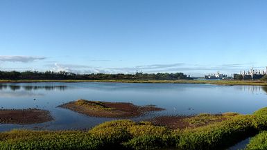 Waiawa Unit of Pearl Harbor NWR