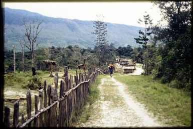 Fence and village