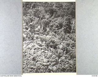 Bougainville. 2 March 1945. The type of country in which Australians are fighting in Bougainville. Owing to the comparatively poor means of communication, forward troops have to be supplied ..