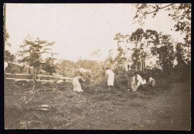 People clearing bush - possibly at Avele College