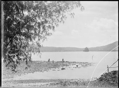 Beehives, Rabaul Harbour, New Guinea, ca. 1929 / Sarah Chinnery