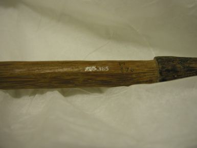walking stick