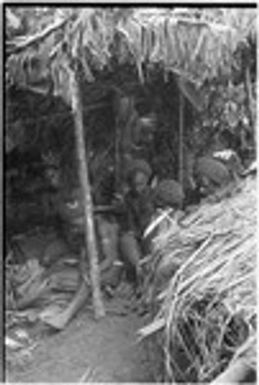 Pig festival, wig ritual, Tsembaga: red wigs being built and painted, in shelter near men's house