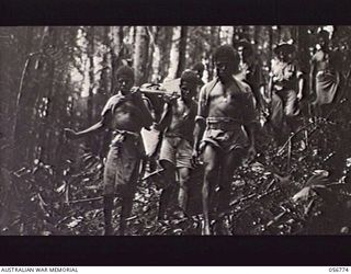 SALAMAUA AREA, NEW GUINEA, 1943-07-24. NATIVE STRETCHER BEARERS CARRYING A WOUNDED AUSTRALIAN SOLDIER BACK TO THE AUSTRALIAN ADVANCED DRESSING STATION FROM THE MOUNT TAMBU AREA. SHOWN: V504081 ..