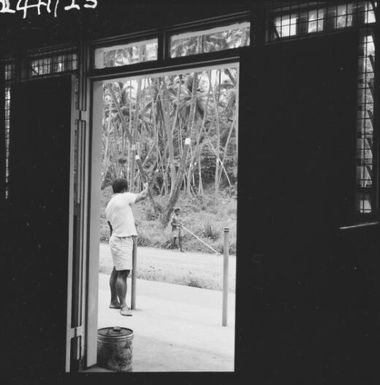 Rat guards on trees outside a building, Taveuni, Fiji, 1966 / Michael Terry