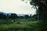 Yodda Valley, Kokoda, [Papua New Guinea, c1953 to 1969]