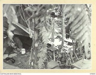 BOUGAINVILLE ISLAND, 1945-01-16. QX45445 SIGNALLER L. RAMM, "A" COMPANY, 47TH INFANTRY BATTALION RECEIVING A REPORT FROM A PATROL WHEN THE COMPANY WAS CONCENTRATED IN THE HUPAI-SAPANI AREA PRIOR TO ..