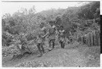 Alefo in lead with other men with cordyline leaves in hand after ritual washing for taualea, feasting shelter, ritual