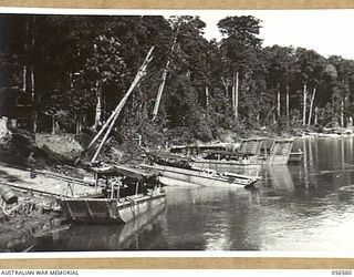 LAKEKAMU RIVER, NEW GUINEA, 1943-09-06. BARGES OF THE 41ST AUSTRALIAN WATER TRANSPORT COMPANY TIED UP AT GRIM POINT