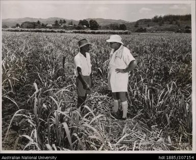 Field Officer speaking with Farmer