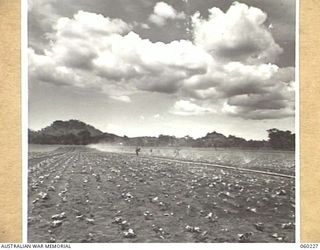 12 MILE, LALOKI RIVER, NEW GUINEA. 1943-11-15. SPRAY IRRIGATION SYSTEM IN OPERATION AT A FARM OF THE 3RD AUSTRALIAN FARM COMPANY, AUSTRALIAN ARMY SERVICE CORPS