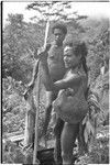 Gardening: Luluai and another man in garden with taro and manioc plants, carry netbags full of food