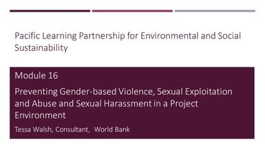Preventing Gender-based Violence, Sexual Exploitation and Abuse and Sexual Harassement in a Project Environment