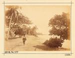 Photograph: Near Nukualofa, Tongatabu