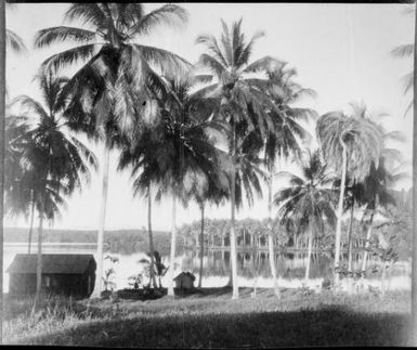 Shed at waters edge surrounded by palm trees, Madang, New Guinea, ca. 1935 / Sarah Chinnery