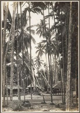 Coira Village, [Papua New Guinea, 1]