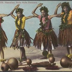 Hula dancers and musicians