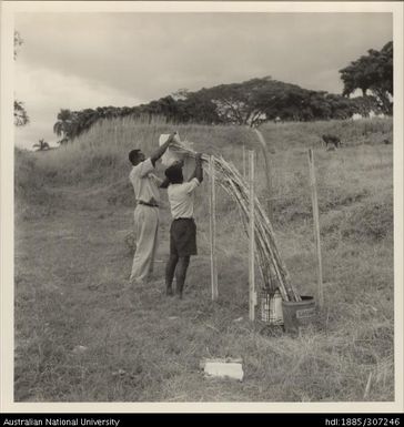 Fitting a cheesecloth bag for cross breeding