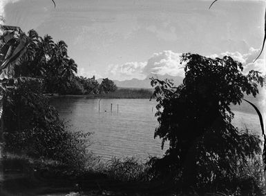 [View of Pacific Island coast taken from waterfront]