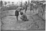 Pig festival, singsing preparations, Tsembaga: men adorn themselves