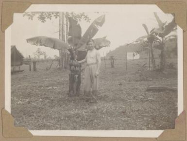 Fred by a banana palm, Lae, Papua New Guinea, 1945 / Alfred Amos