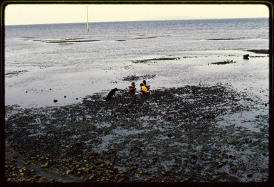 Beach near Levuka?, Fiji, 1971