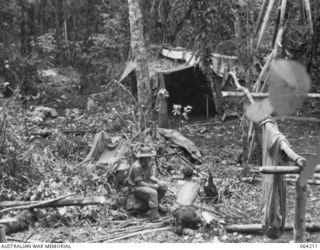 GEYTON'S POST, NEW GUINEA. 1944-01-19/20. VX46319 PRIVATE L.D. DOWER (1) AND ANOTHER MEMBER OF THE 2/5TH FIELD AMBULANCE WORKING ON THE CONSTRUCTION OF THE ADVANCED DRESSING STATION AT GEYTON'S ..