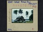 East Coast Road, New Ireland, [Papua New Guinea], 1959