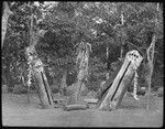 Drums with images of ancestral spirits, with pig jaws and husks hanging from them