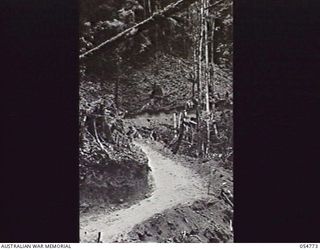 BULLDOG ROAD, NEW GUINEA, 1943-07-17. WINDING BENCHED ROAD A HALF MILE FROM BANNON'S LOOKOUT