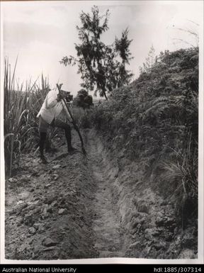 Farmer digging trench