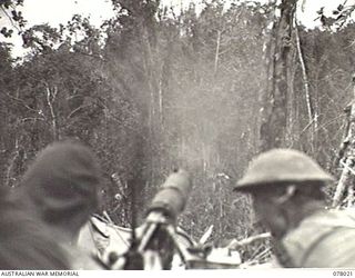 BOUGAINVILLE ISLAND. 1944-12-30. MACHINE GUNNERS OF THE 25TH INFANTRY BATTALION USING THEIR VICKERS GUN ON A JAPANESE SNIPER WHO WAS HOLDING UP THE AUSTRALIAN ADVANCE ON JAPANESE POSITIONS IN THE ..